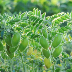 WhatsApp Image 2025-09-06 at 14.43.494343